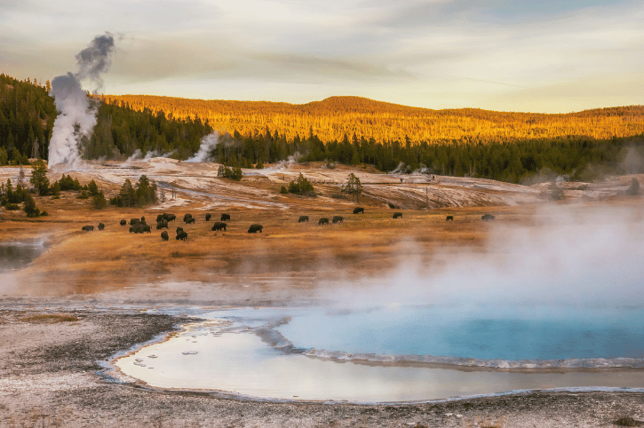 Yellowstone National Park
