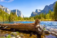 Yosemite National Park